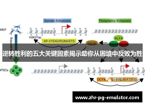 逆转胜利的五大关键因素揭示助你从困境中反败为胜